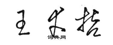 駱恆光王幸哲草書個性簽名怎么寫