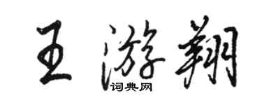 駱恆光王游翔行書個性簽名怎么寫