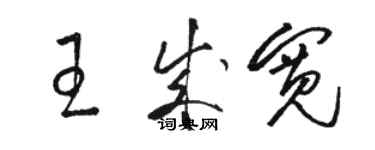 駱恆光王成寬草書個性簽名怎么寫