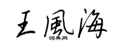 王正良王風海行書個性簽名怎么寫