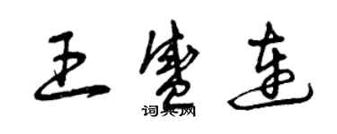 曾慶福王盛連草書個性簽名怎么寫