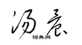 梁錦英湯晨草書個性簽名怎么寫