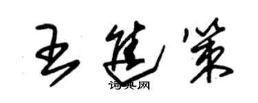 朱錫榮王進策草書個性簽名怎么寫