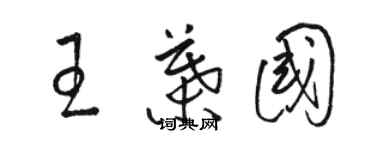 駱恆光王葉國草書個性簽名怎么寫