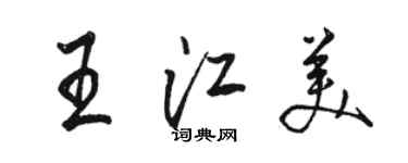 駱恆光王江美行書個性簽名怎么寫