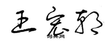 曾慶福王宏朝草書個性簽名怎么寫