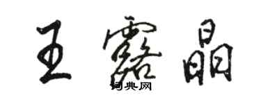 駱恆光王露晶行書個性簽名怎么寫