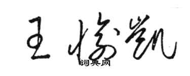 駱恆光王愉凱草書個性簽名怎么寫