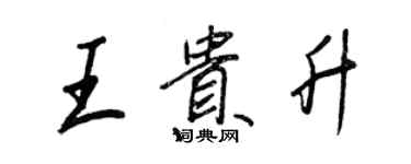 王正良王貴升行書個性簽名怎么寫