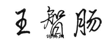 駱恆光王智腸行書個性簽名怎么寫