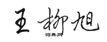 駱恆光王柳旭行書個性簽名怎么寫