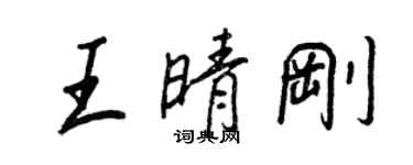 王正良王晴剛行書個性簽名怎么寫