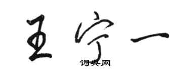 駱恆光王寧一行書個性簽名怎么寫