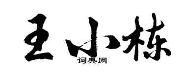 胡問遂王小棟行書個性簽名怎么寫