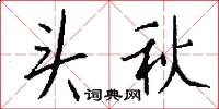 頭頂心的意思_頭頂心的解釋_國語詞典