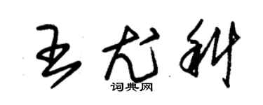 朱錫榮王尤科草書個性簽名怎么寫