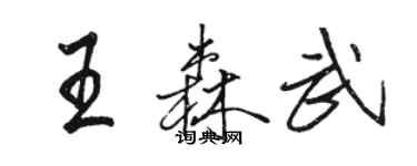 駱恆光王森武行書個性簽名怎么寫