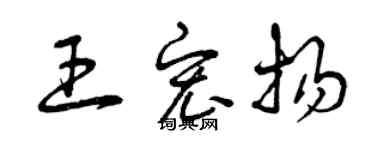 曾慶福王宏揚草書個性簽名怎么寫