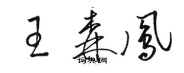 駱恆光王森鳳草書個性簽名怎么寫