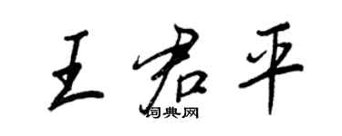 王正良王君平行書個性簽名怎么寫