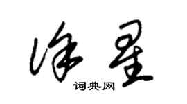 朱錫榮徐星草書個性簽名怎么寫