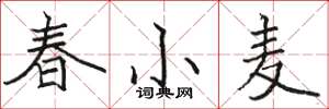 駱恆光春小麥楷書怎么寫