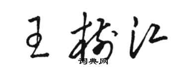 駱恆光王樹江草書個性簽名怎么寫