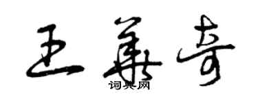 曾慶福王華奇草書個性簽名怎么寫