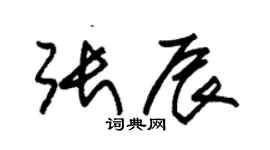 朱錫榮張辰草書個性簽名怎么寫