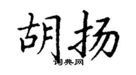 丁謙胡揚楷書個性簽名怎么寫