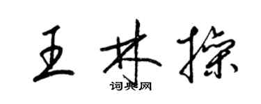 梁錦英王林操草書個性簽名怎么寫