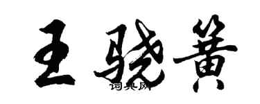 胡問遂王驍簧行書個性簽名怎么寫