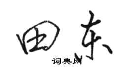 駱恆光田東行書個性簽名怎么寫