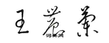 駱恆光王農蘭草書個性簽名怎么寫