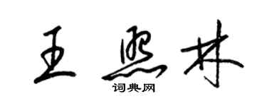 梁錦英王照林草書個性簽名怎么寫