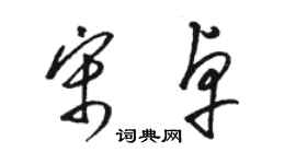 駱恆光宋卓草書個性簽名怎么寫