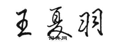 駱恆光王夏羽行書個性簽名怎么寫