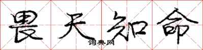 龐中華畏天知命行書怎么寫