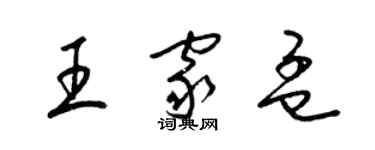 梁錦英王家孟草書個性簽名怎么寫