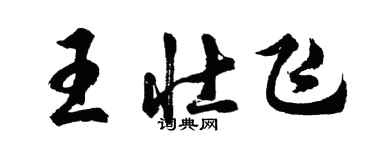 胡問遂王壯飛行書個性簽名怎么寫