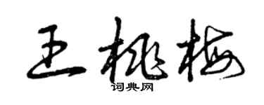 曾慶福王桃梅草書個性簽名怎么寫