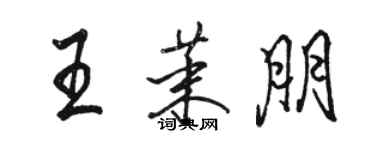 駱恆光王茉朋行書個性簽名怎么寫