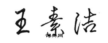 駱恆光王素潔行書個性簽名怎么寫