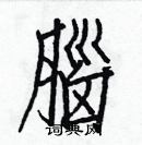 白克儉寫的硬筆楷書腦