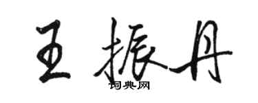 駱恆光王振丹行書個性簽名怎么寫