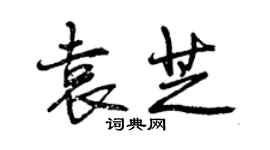 曾慶福袁芝行書個性簽名怎么寫