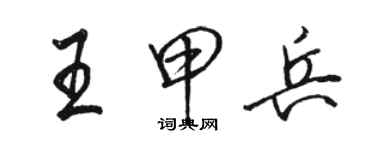 駱恆光王甲兵行書個性簽名怎么寫