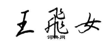 王正良王飛女行書個性簽名怎么寫