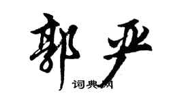 胡問遂郭嚴行書個性簽名怎么寫