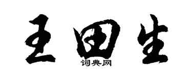 胡問遂王田生行書個性簽名怎么寫